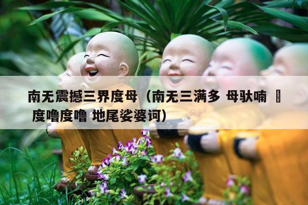 南无震撼三界度母（南无三满多 母驮喃 唵 度噜度噜 地尾娑婆诃）
