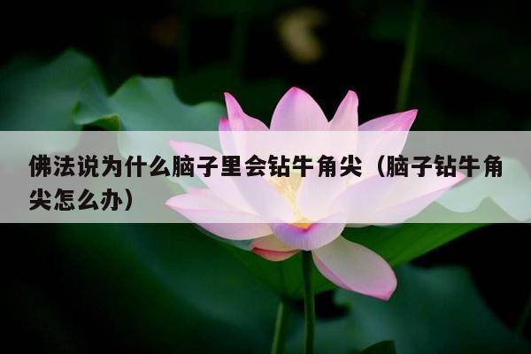 佛法说为什么脑子里会钻牛角尖（脑子钻牛角尖怎么办）