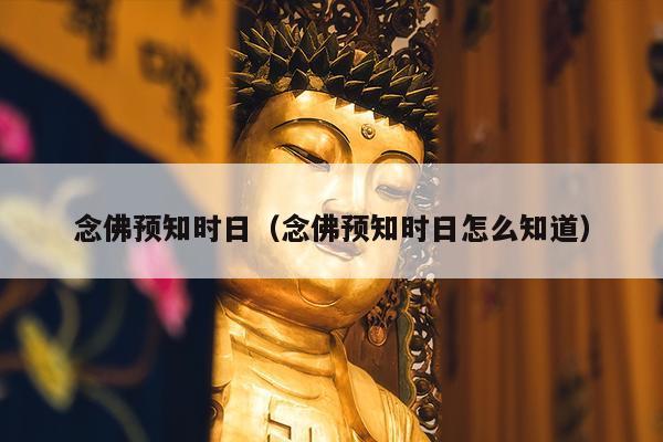 念佛预知时日（念佛预知时日怎么知道）