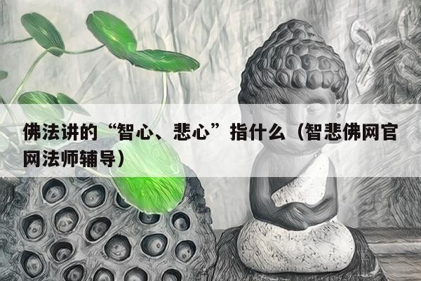 佛法讲的“智心、悲心”指什么（智悲佛网官网法师辅导）