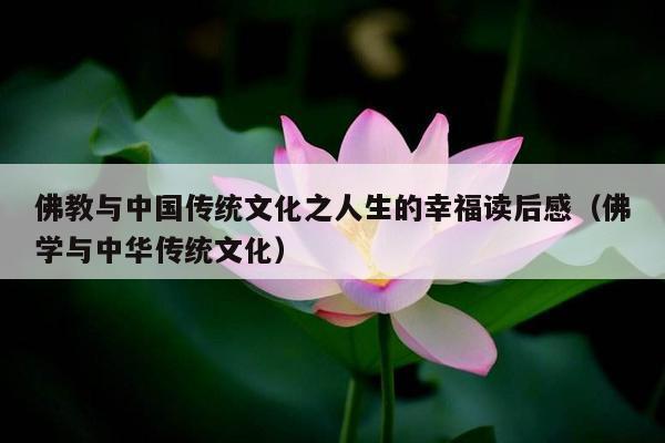 佛教与中国传统文化之人生的幸福读后感（佛学与中华传统文化）