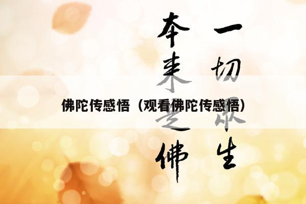 佛陀传感悟（观看佛陀传感悟）
