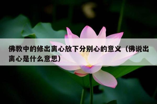 佛教中的修出离心放下分别心的意义（佛说出离心是什么意思）