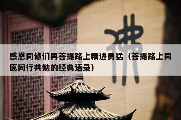 感恩同修们再菩提路上精进勇猛（菩提路上同愿同行共勉的经典语录）