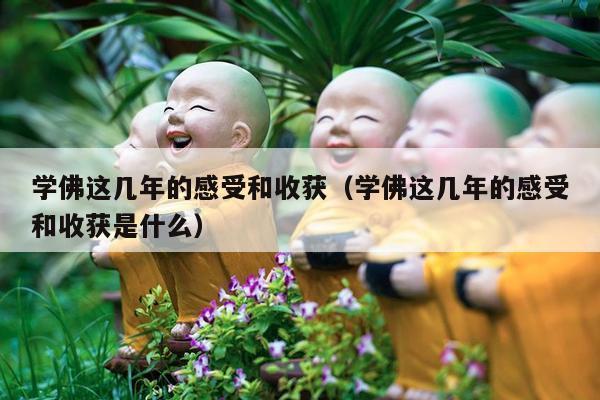 学佛这几年的感受和收获（学佛这几年的感受和收获是什么）