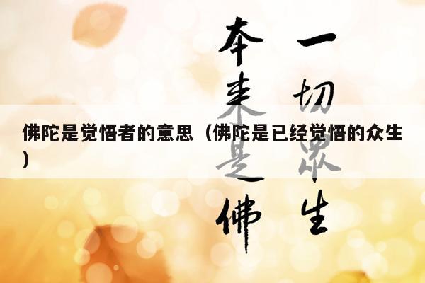 佛陀是觉悟者的意思（佛陀是已经觉悟的众生）