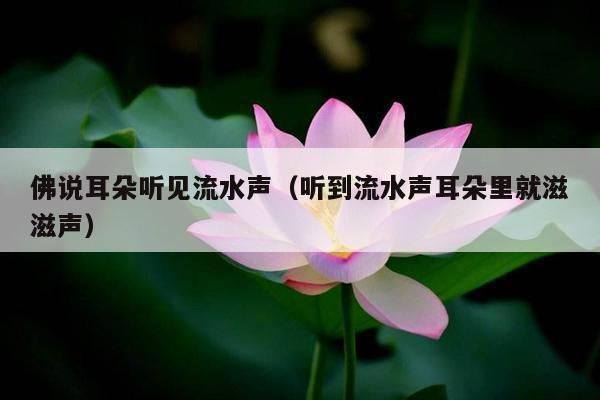 佛说耳朵听见流水声（听到流水声耳朵里就滋滋声）