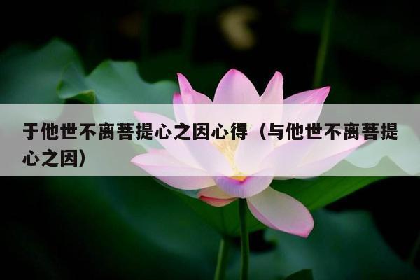 于他世不离菩提心之因心得（与他世不离菩提心之因）