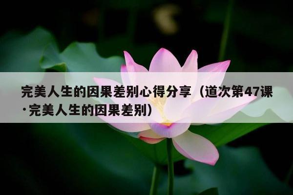 完美人生的因果差别心得分享（道次第47课·完美人生的因果差别）