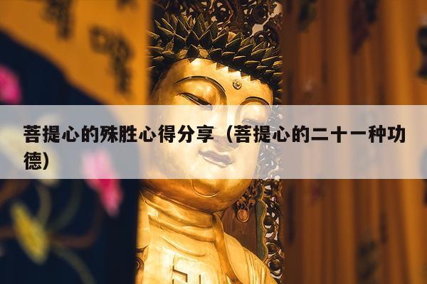 菩提心的殊胜心得分享（菩提心的二十一种功德）