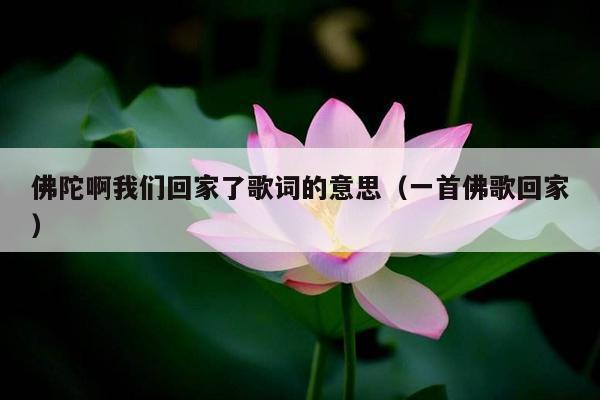 佛陀啊我们回家了歌词的意思（一首佛歌回家）