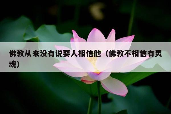 佛教从来没有说要人相信他（佛教不相信有灵魂）