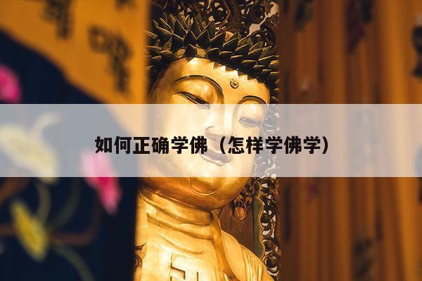 如何正确学佛（怎样学佛学）