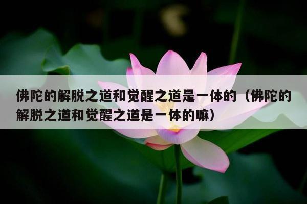 佛陀的解脱之道和觉醒之道是一体的（佛陀的解脱之道和觉醒之道是一体的嘛）
