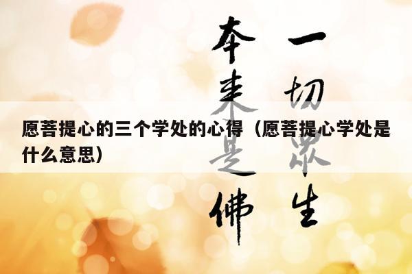 愿菩提心的三个学处的心得（愿菩提心学处是什么意思）