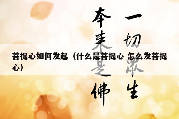 菩提心如何发起（什么是菩提心 怎么发菩提心）