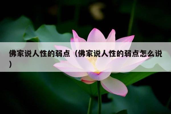 佛家说人性的弱点（佛家说人性的弱点怎么说）