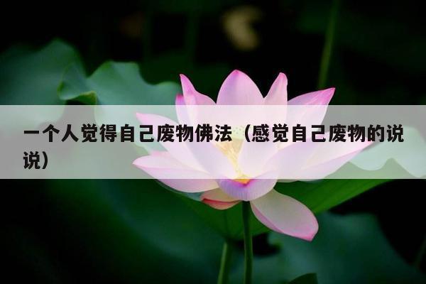 一个人觉得自己废物佛法（感觉自己废物的说说）