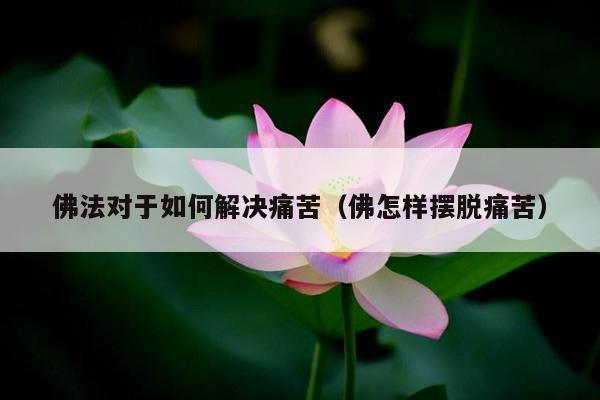 佛法对于如何解决痛苦（佛怎样摆脱痛苦）
