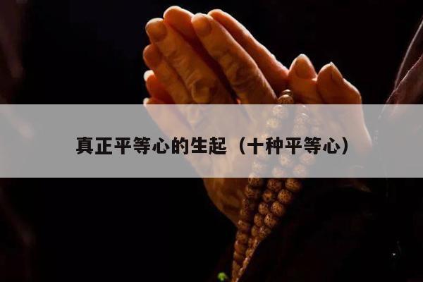 真正平等心的生起（十种平等心）