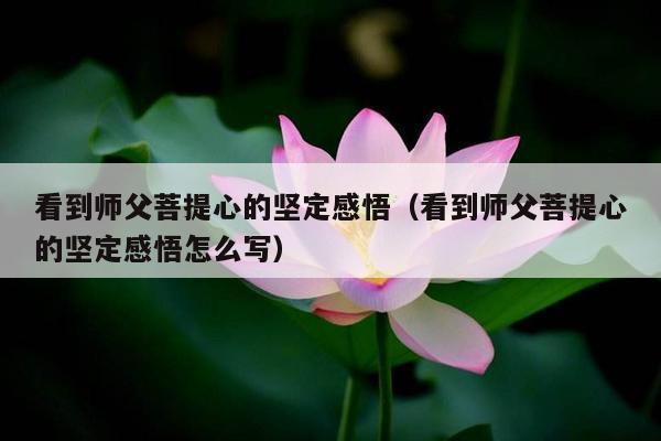 看到师父菩提心的坚定感悟（看到师父菩提心的坚定感悟怎么写）
