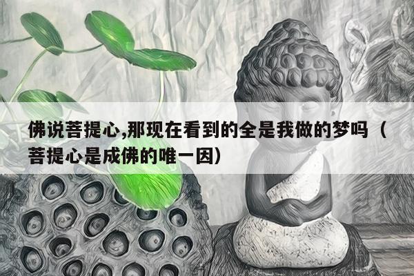 佛说菩提心,那现在看到的全是我做的梦吗（菩提心是成佛的唯一因）