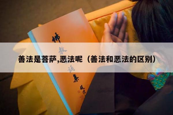 善法是菩萨,恶法呢（善法和恶法的区别）