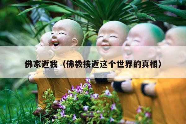 佛家近我（佛教接近这个世界的真相）