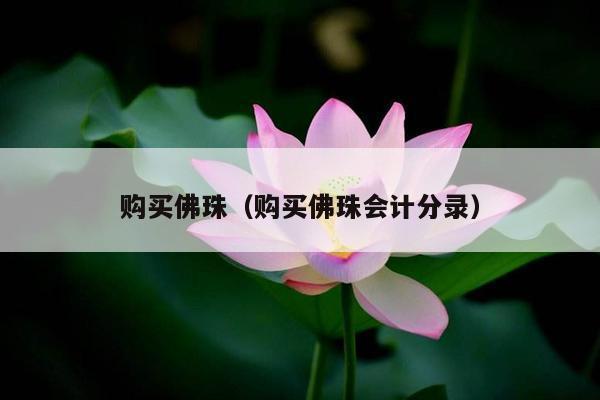 购买佛珠（购买佛珠会计分录）