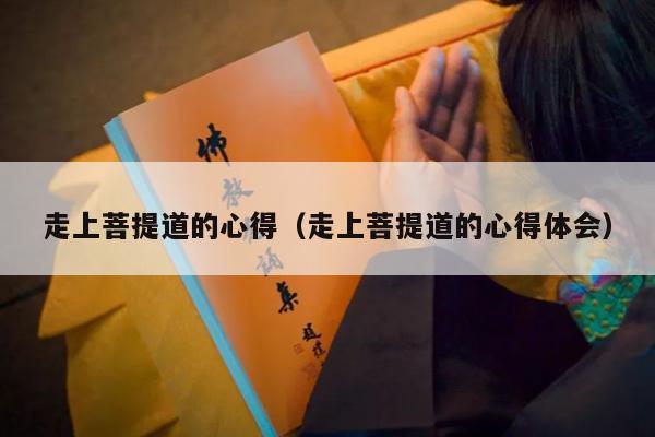 走上菩提道的心得（走上菩提道的心得体会）
