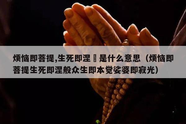 烦恼即菩提,生死即涅槃是什么意思（烦恼即菩提生死即涅般众生即本觉娑婆即寂光）