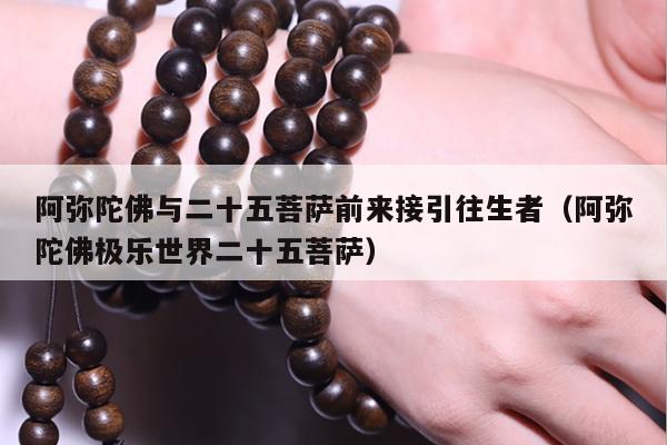 阿弥陀佛与二十五菩萨前来接引往生者（阿弥陀佛极乐世界二十五菩萨）