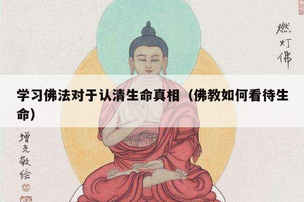 学习佛法对于认清生命真相（佛教如何看待生命）