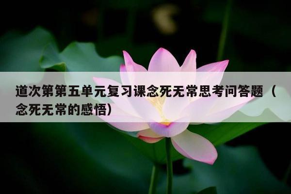 道次第第五单元复习课念死无常思考问答题（念死无常的感悟）