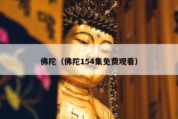 佛陀（佛陀154集免费观看）