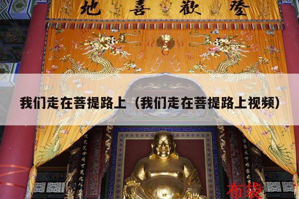 我们走在菩提路上（我们走在菩提路上视频）