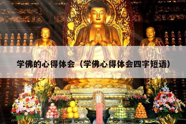 学佛的心得体会（学佛心得体会四字短语）