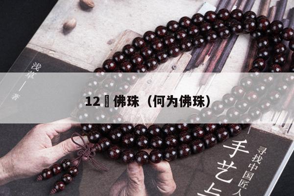 12㎜佛珠（何为佛珠）