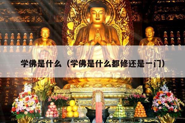 学佛是什么（学佛是什么都修还是一门）