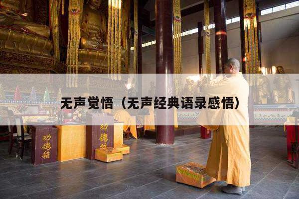 无声觉悟（无声经典语录感悟）