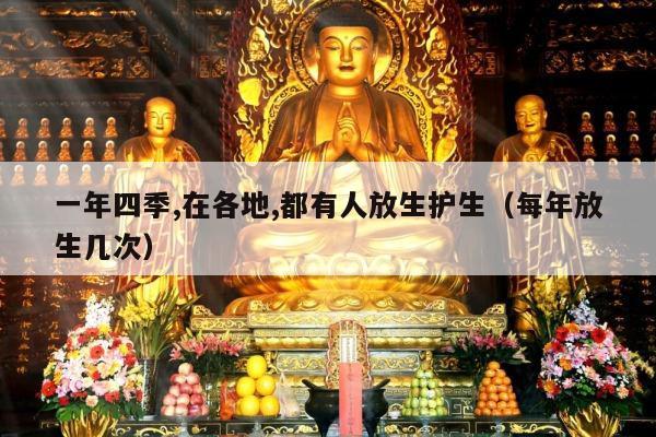 一年四季,在各地,都有人放生护生（每年放生几次）