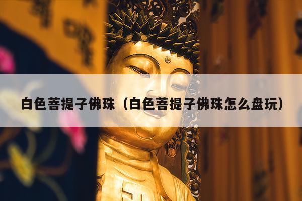 白色菩提子佛珠（白色菩提子佛珠怎么盘玩）