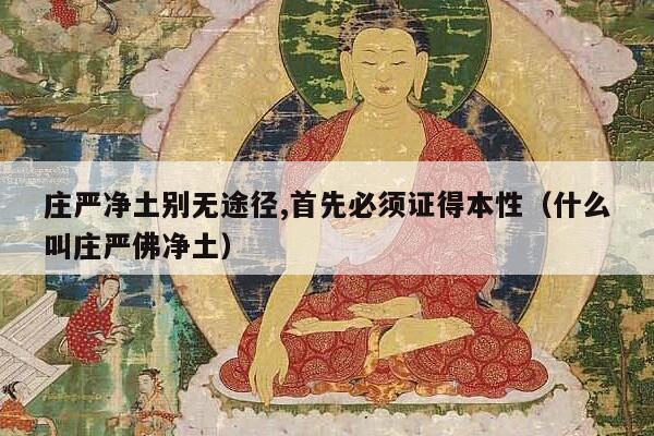 庄严净土别无途径,首先必须证得本性（什么叫庄严佛净土）
