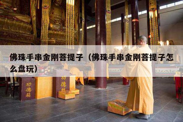佛珠手串金刚菩提子（佛珠手串金刚菩提子怎么盘玩）