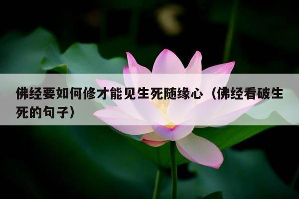 佛经要如何修才能见生死随缘心（佛经看破生死的句子）