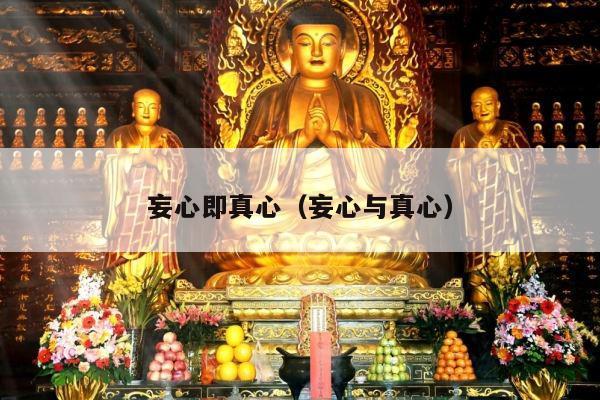 妄心即真心（妄心与真心）