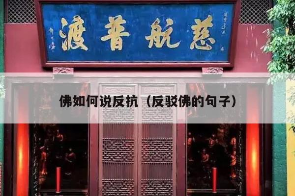 佛如何说反抗（反驳佛的句子）