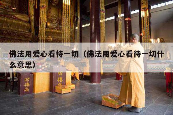 佛法用爱心看待一切（佛法用爱心看待一切什么意思）