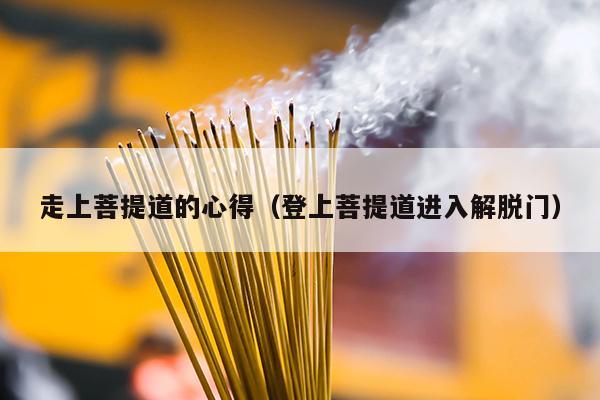 走上菩提道的心得（登上菩提道进入解脱门）