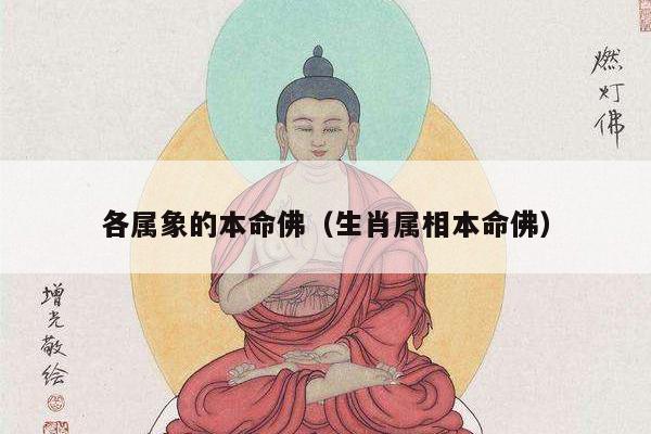 各属象的本命佛（生肖属相本命佛）